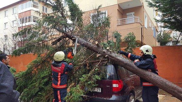 Ağaçlar da fırtınadan nasibini aldı: Farklı semtlerde 24 ağaç devrildi