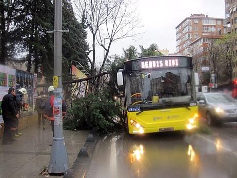 Ağaçlar Devrildi, Çatılar Uçtu, Elektrikler Kesildi: İstanbul Fırtınaya Teslim