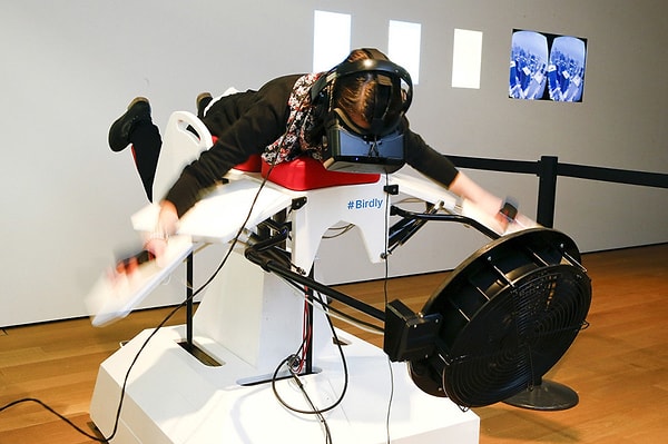 1. Симулятор полета птицы