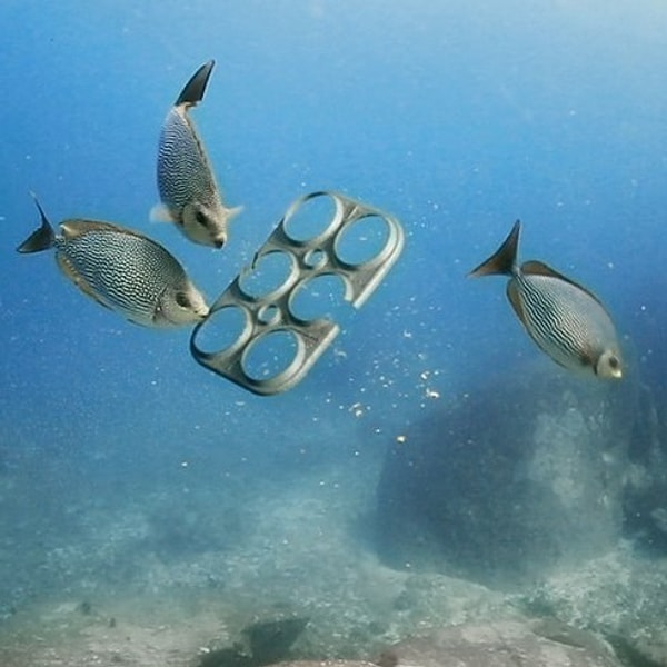 8. Съедобная упаковка