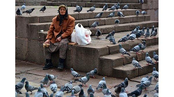 81 yaşında olmasına rağmen her gün parka gidiyor ve yemlerini satmaya çalışıyor Esma Teyze. Sosyal medyadan insanlar örgütlenip, her gün ondan kuş yemi alarak işini kolaylaştırıyor.