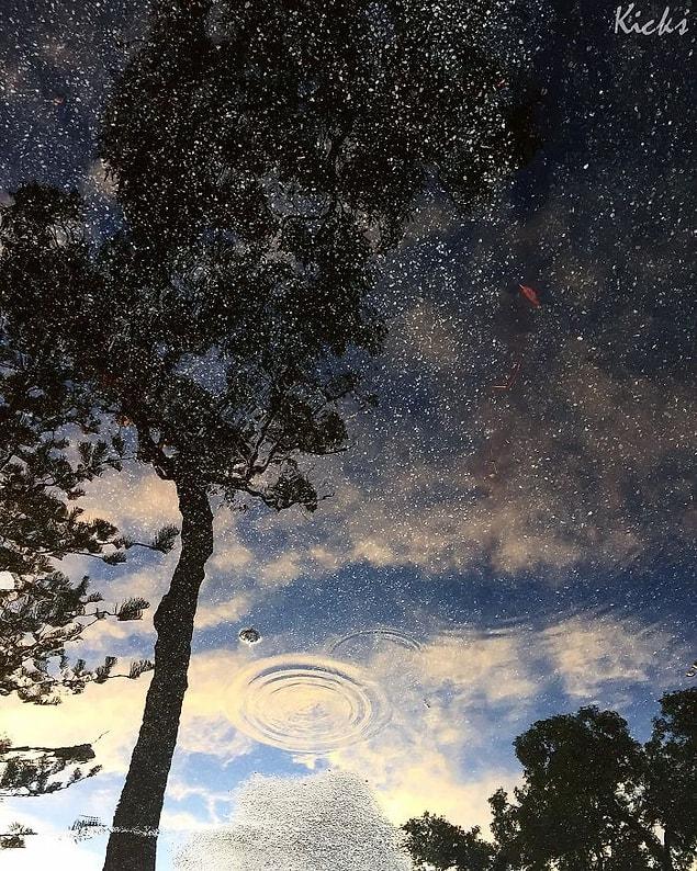 2. Looks like a starry night sky, but it's just a reflection of a puddle!