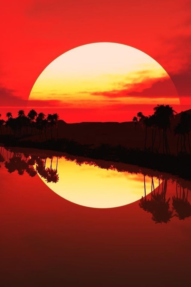 15. This reflection makes the sun look complete!