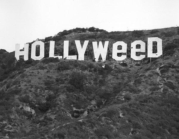 Hollywood levhası 1976 yılında hint keneviri severler tarafından bir kez daha elden geçirilmişti.