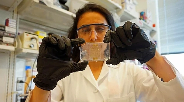 Amerika'da 'Mevlana' Olarak Tanınan Türk Bilim Kadını Canan Dağdeviren'e Bir Ödül Daha!