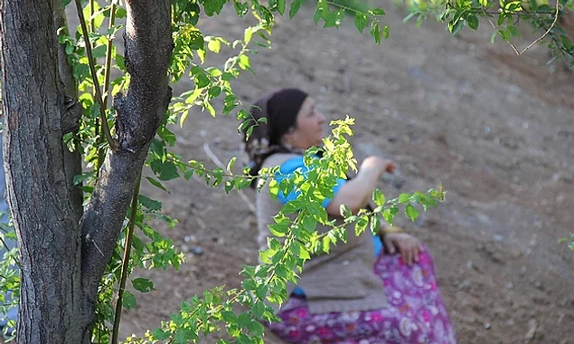 60 Yaşında Üniversite Kazanan ve Tüm İnsanlığa İlham Verecek Fadime Toptaş ile Tanışın