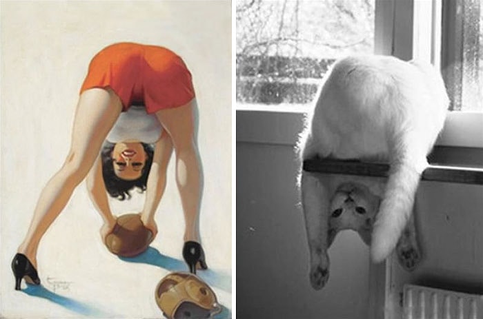 15 кошек, позирующих в стиле красоток Pin Up