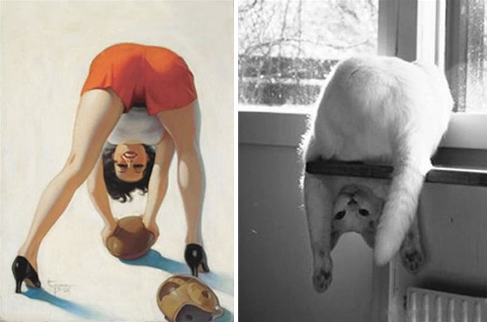 15 кошек, позирующих в стиле красоток Pin Up