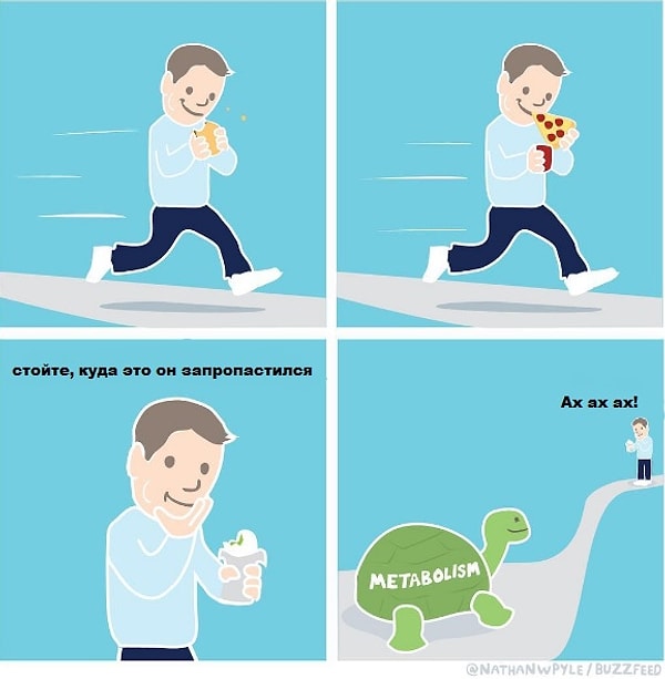 1. Пару лет назад я заметил, что несмотря на то, что мои привычки в еде остались неизменными, кое-что вдруг изменилось: