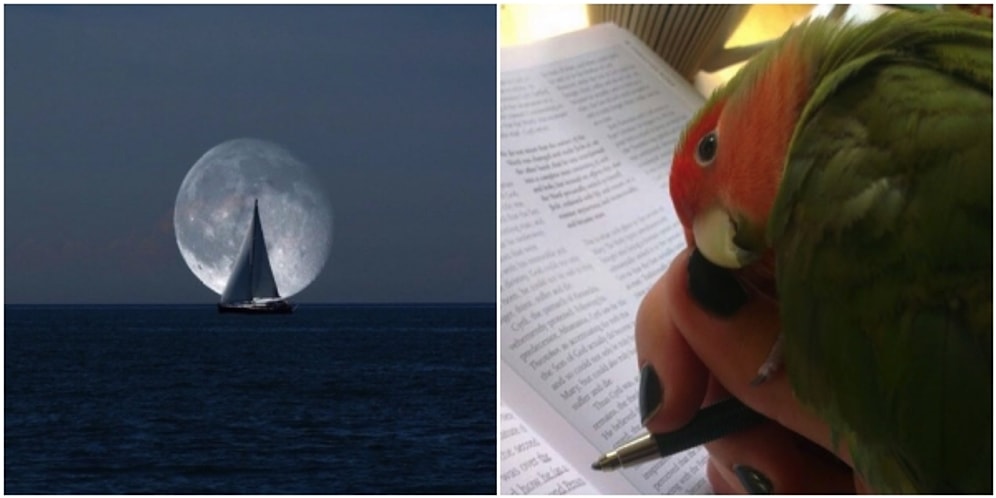 Onedio Instagram Hesabı İftiharla Sunar! Aralık Ayının En Çok Beğenilen 26 Paylaşımı