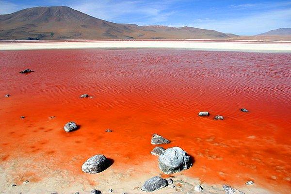 8. Laguna Colorada, Güney Lipez, Bolivya