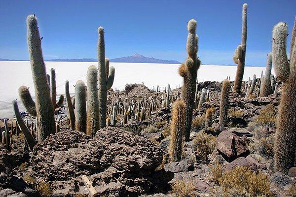 23. Salar de Uyuni Gölü, Bolivya