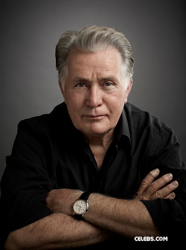 3. Мартин Шин / Чарли Шин / Эмилио Эстевес