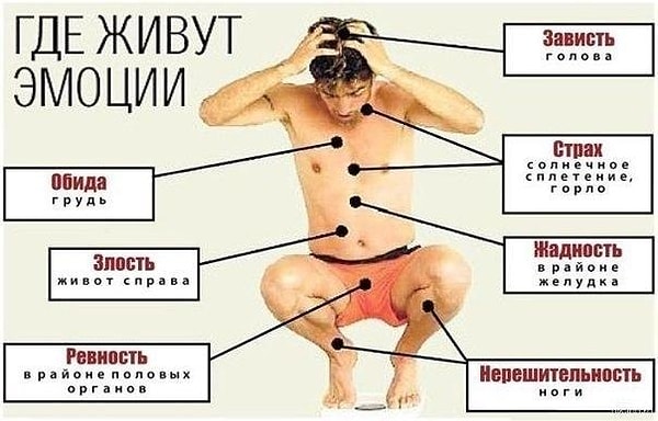 8. Где живут эмоции.