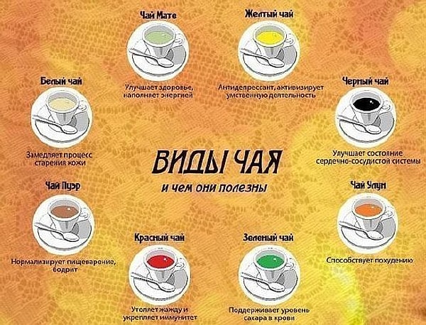 29. Полезные свойства чая.