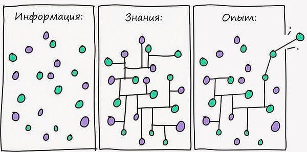 48. Чем отличаются Информация - Знания - Опыт