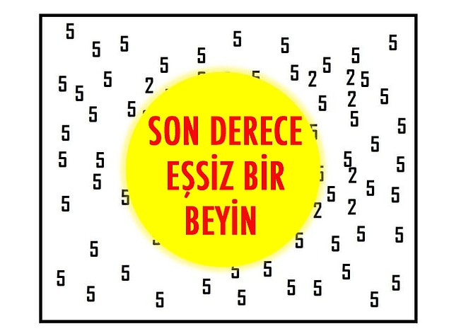 Başardın! Son derece eşsiz bir beyin çıktı!