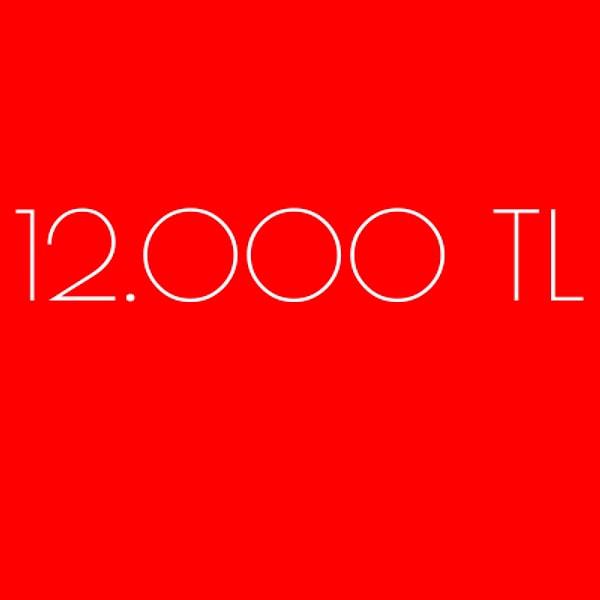 12.000 TL!