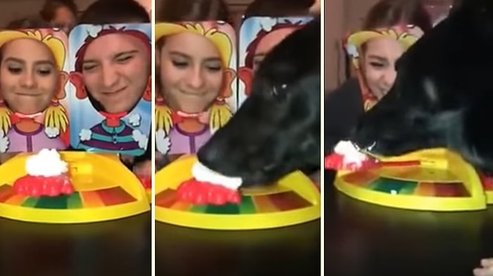 Surata Pasta Yapıştırma Oyununu Troll'leyen Köpek