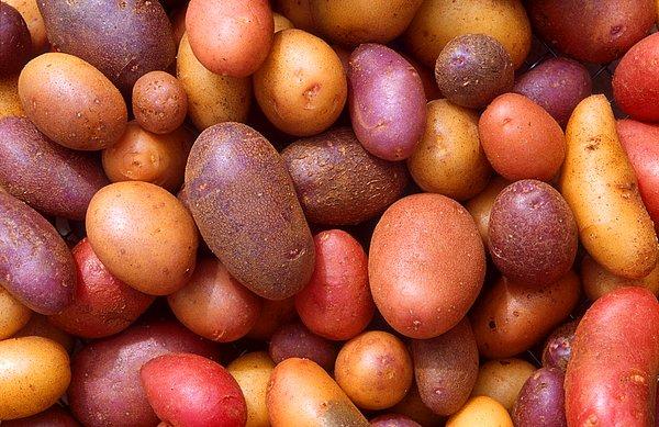 6. En zor bozulan sebzelerden biri patates ile devam edelim.
