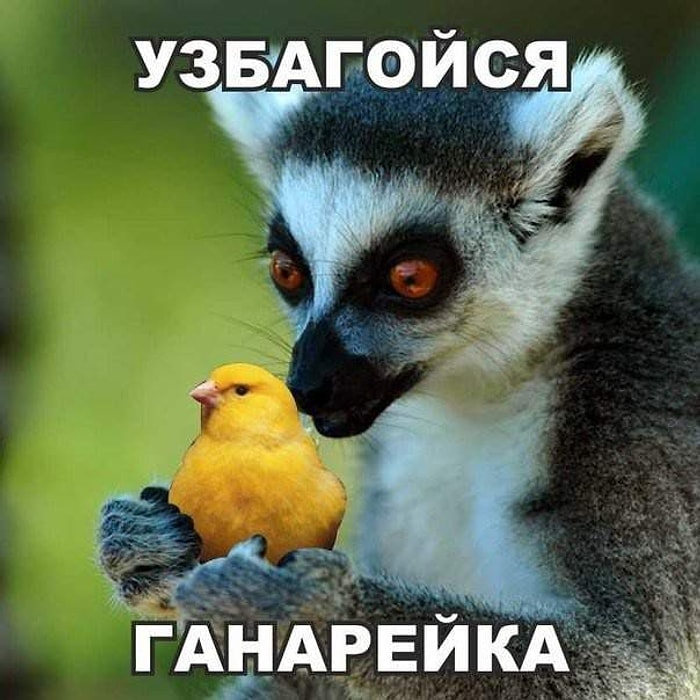 Фотки-"узбагаинчики" для вашего дня