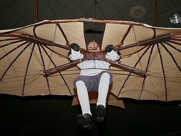 9. Король дельтапланов потерял контроль над своим устройством и сломал позвоночник после 50 футов пикирования