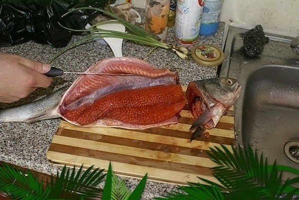 14. Золотая рыбка . Купил кету за 250 рублей . А в ней - икры на 1000 рублей