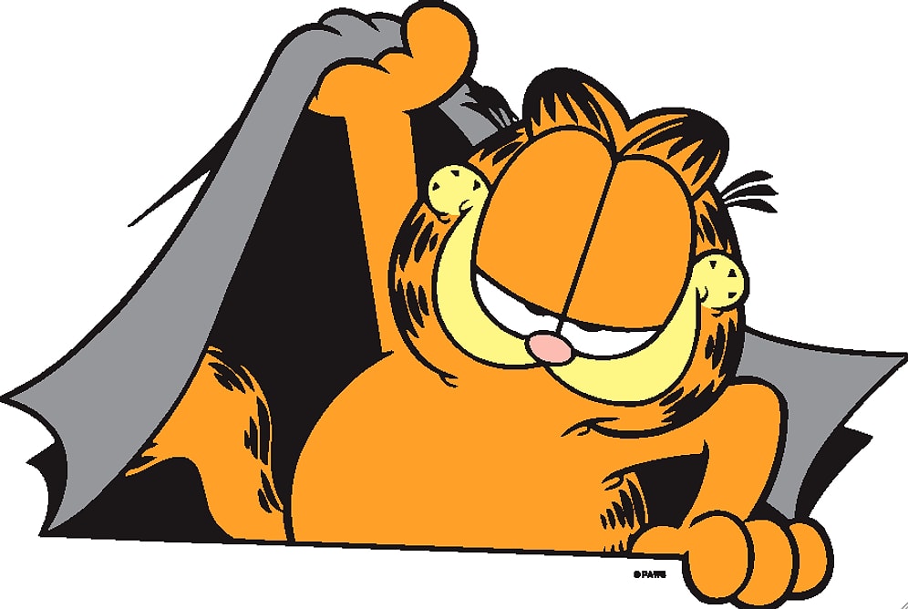 Hangi Çizgi Film Kedisisin?