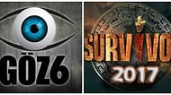 Göz6 Final Yaptı, Survivor 2017'nin Son İki Yarışmacısı da Belli Oldu