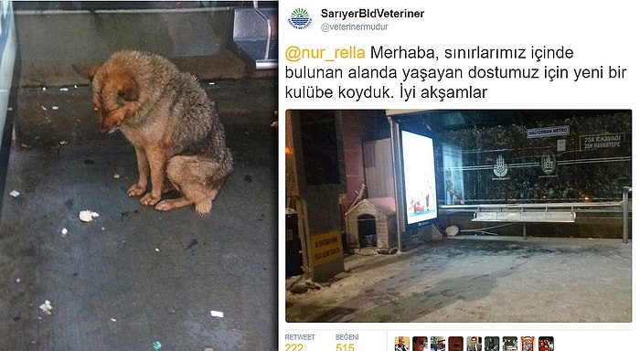 Kulübesi Atıldığından Soğuğun Ortasında Kalan Köpeğe Uzatılan Yardım Eli İçinizi Isıtacak!