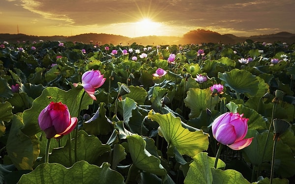 4. Где это находится?