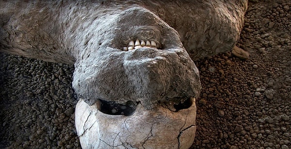 5. Где можно это увидеть?