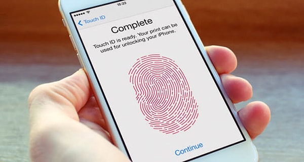 Собственно, их-то она и купила с помощью маминого мобильного телефона и отпечатка её большого пальца, пока та спала на диване.