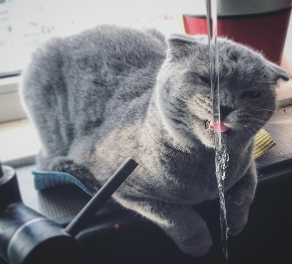 9. Пейте достаточное количество воды