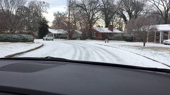 Karın Keyfini Sokakta Kayak Yaparak Çıkaran Adam