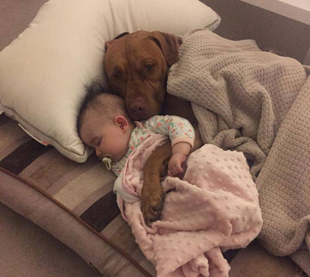 1. Наш собственный уютный мирок