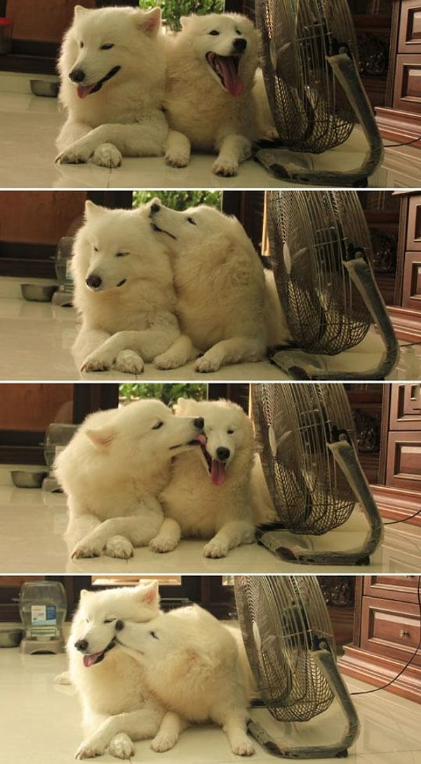 11. Настоящая любовь!