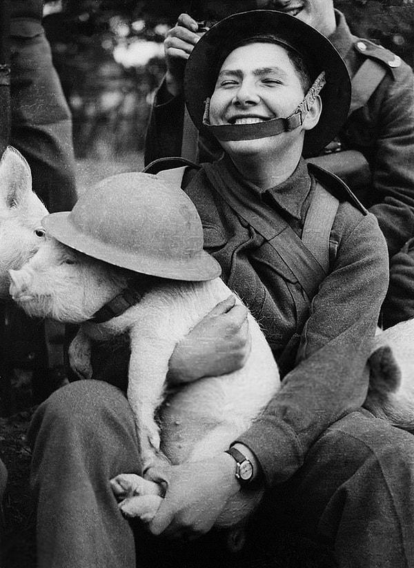 28. Londra'da İkinci Dünya Savaşı sırasında elinde küçük bir domuz tutan genç asker...