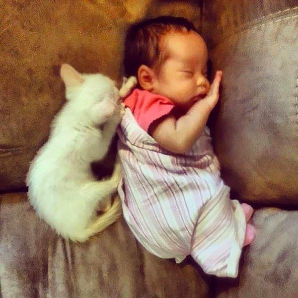 Karşınızda kedilere fısıldayan kız çocuğu ve en iyi dostu olan kedikuş!