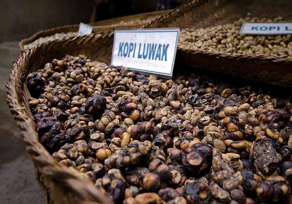 Her yıl toplamda 1.8 milyon ton Brezilya kahvesi üretilirken, Kopi luwak yılda yalnızca 250-500 kilo arası üretiliyor.