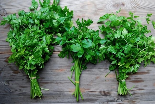 Yemek Yaparken Olusan Kotu Kokulari Gidermeye Yarayacak 14 Farkli Cozum Onerisi Yemek Yaparken Olusan Kotu Kokulari Gidermeye Yarayacak 14 Farkli Cozum Onerisi