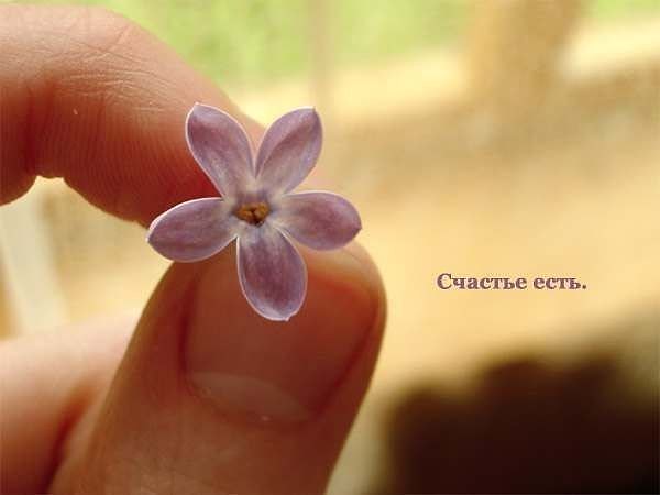 18. Бедный хочет денег. Богатый хочет денег. И лишь мудрый хочет счастья!