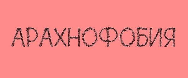 1. Начнем с простого. Что такое арахнофобия?