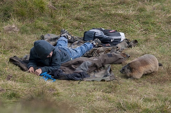 Мама Anne Michaela: "Следить за такой прочной связью и дружбой между ребенком и животными - что-то невероятное".