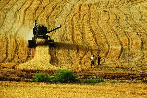 Son 27 yılda 4 milyon hektarlık tarım alanı yok oldu...