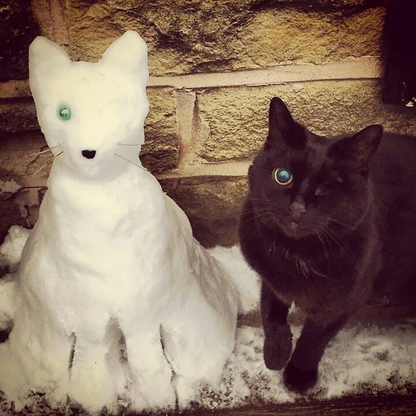 1. Одноглазая киса 😻