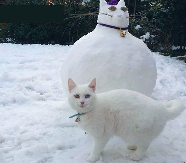 6. "Нет, ну, вы серьезно?"🙀