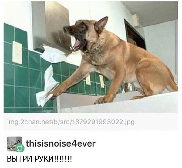 2. В каждом туалете должна быть такая собака