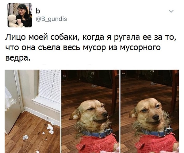 3. "Ну, и что ты на меня кричишь?"