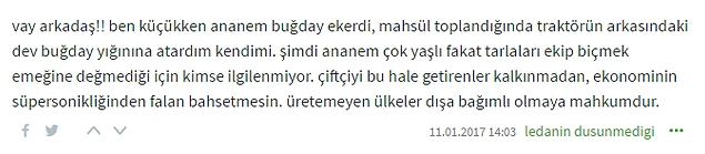 Bir Zamanlar 'Tahıl Ambarı' Olan Türkiye Buğday İthal Edecek, Peki Neden?
